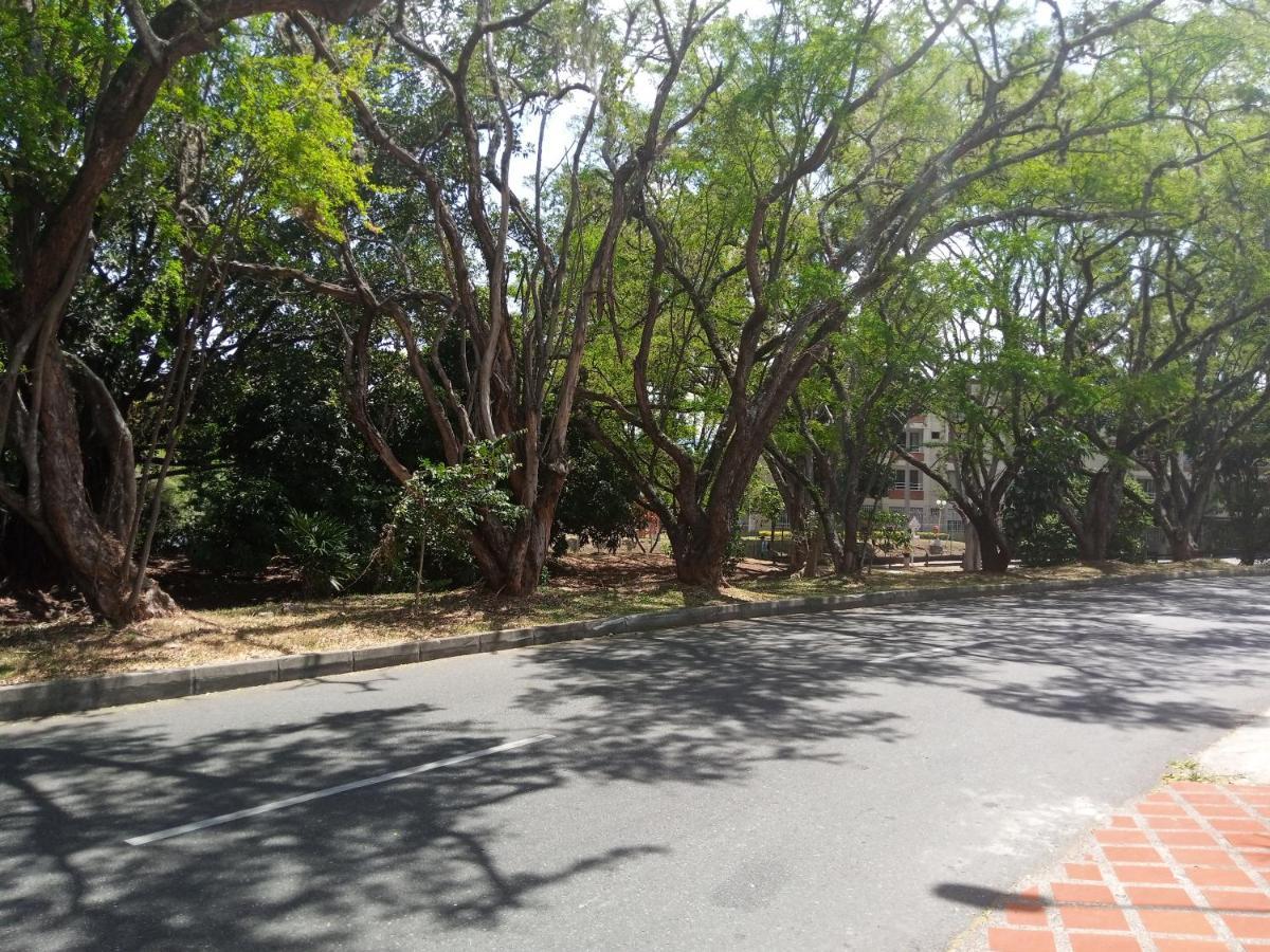 Vip Apartasuites Rosales Medellin Luaran gambar